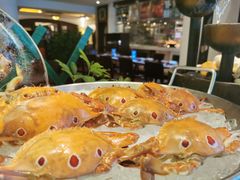 -东莞塘厦三正半山温泉酒店·沙利文西餐厅
