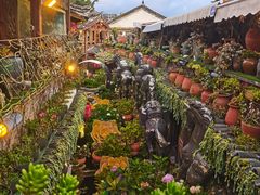 -樱花餐厅