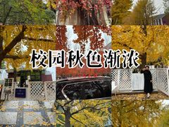 -辽宁大学(崇山校区)