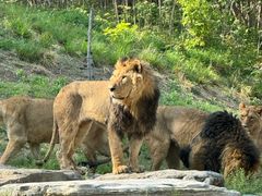 -北京野生动物园