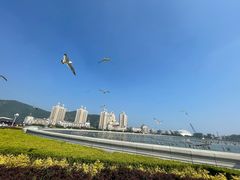 -星海广场