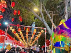 -越秀西湖花市(广州城市广场花卉店)