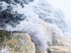 -泰山风景名胜区