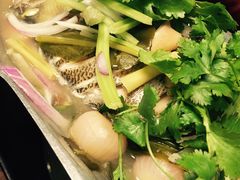 -米泰MiThai