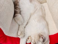 -太湖面馆十八浇(渔港路店)