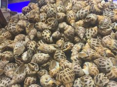-加餐海鲜自助(集美银泰百货店)