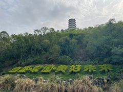 -深圳国际园林花卉博览园
