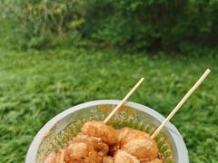 -桤木河湿地公园