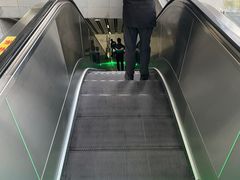 -桃浦新村(地铁站)