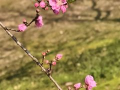 -常德桃花源景区