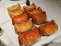 -澄记狮头鹅安粮店