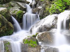 -长沙黑麋峰国家森林公园