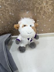 -上海首尔丽格医疗美容医院