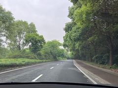 -同里国家湿地公园