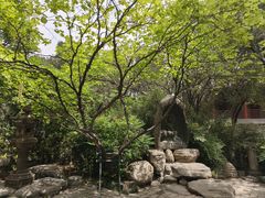 -大慈恩寺(大雁塔)