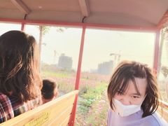 -歌斐颂巧克力小镇