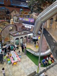 -卡通尼·Safari非洲探索乐园·生日会(金桥国际商业广场店)