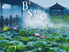 -荷塘月色湿地公园·向阳花洲