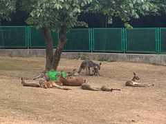 -西安秦岭野生动物园