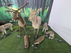 -大连森林动物园