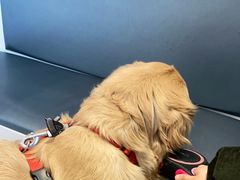 -关爱宠物医院·猫科中心·消化科(滨湖万达分院)