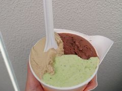 -Dip in Gelato(富民路店)
