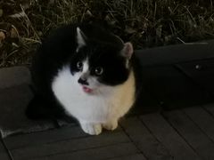 -北京国家会计学院