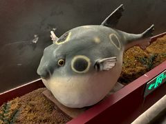 -肆月河豚·新淮扬菜·烤鸭(中关村店)