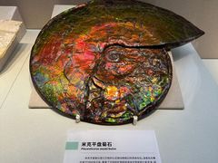 -国家自然博物馆