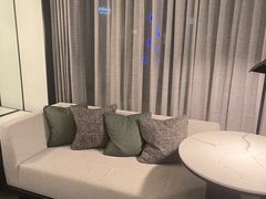 -新加坡乌节希尔顿酒店 (SG Clean)
