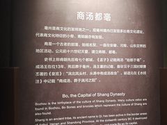 -亳州博物馆