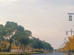 -句容茅山景区