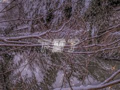 -郑和公园