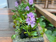 -聚福宝合苑食府(南头镇店)