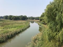 -北京麋鹿生态实验中心