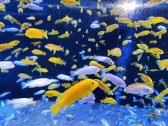 -成都浩海立方海洋公园