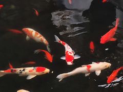 -径山寺