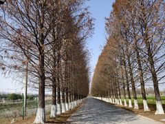 -嘉北郊野公园