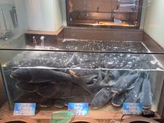 -上名堂·鱼头好吃(体育场路店)