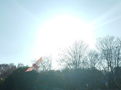 -明故宫遗址公园
