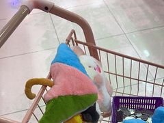-+WAWA夹娃娃专门店·抓娃娃