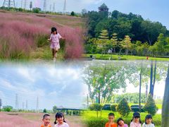 -王借岗森林公园