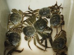 -芸海阁·农家私房菜(沙家浜景区出口店)