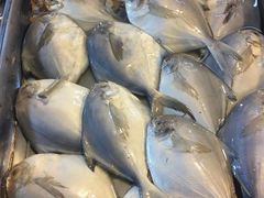 -鲜鲜·鲅鱼圈海鲜(于洪店)