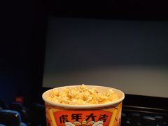 -农垦博纳国际影城(津奥广场IMAX店)