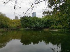 -望江楼公园