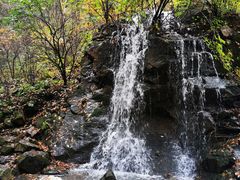 -天女山森林公园