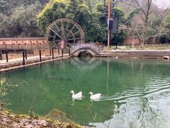 -车溪民俗旅游区