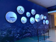 -上海中国航海博物馆