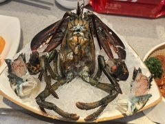 -海底捞火锅(大融城店)